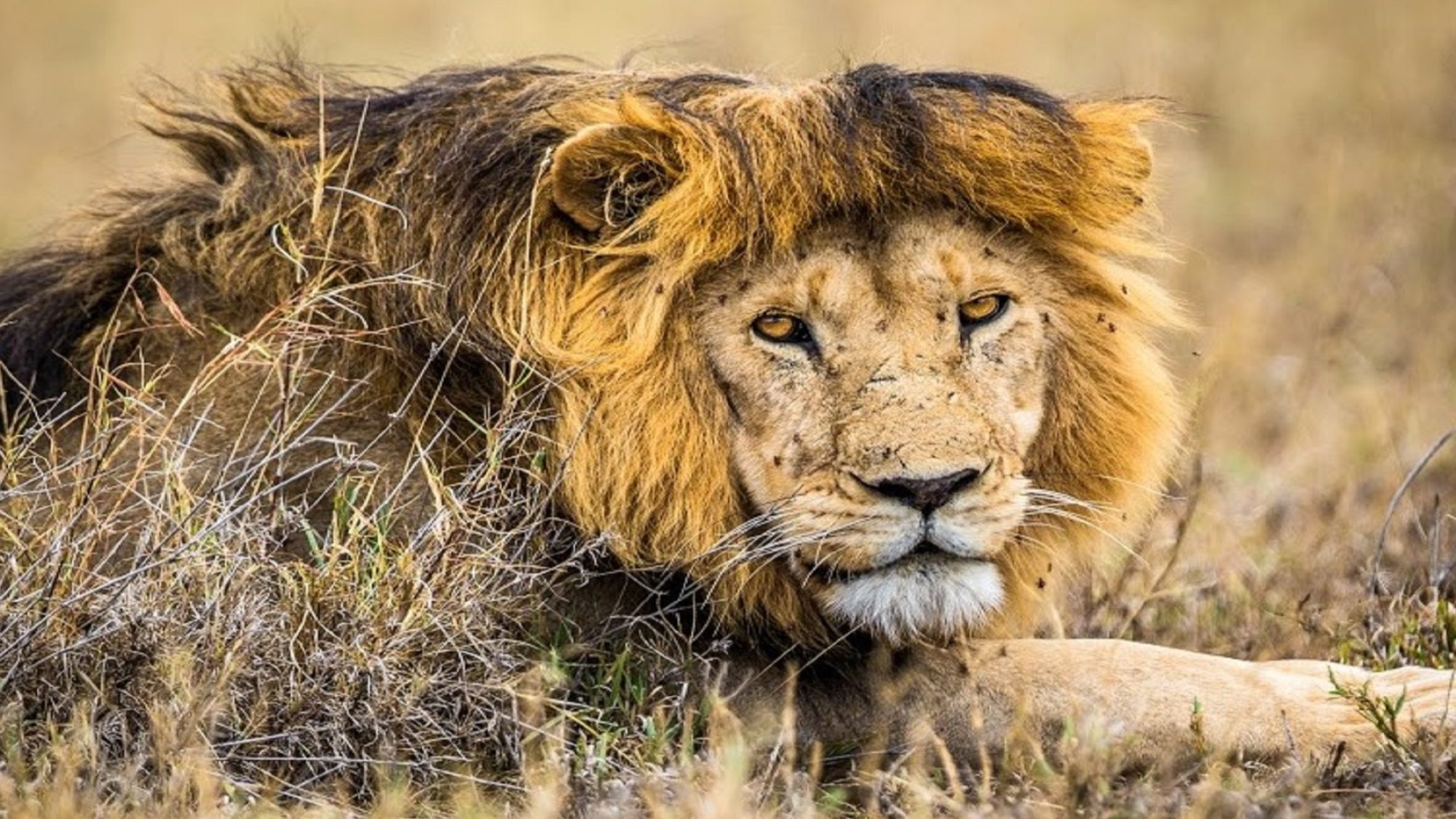 Building for the Future of East African Tourism